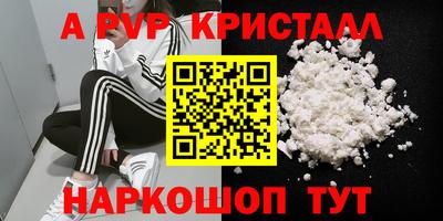 крисы Славгород