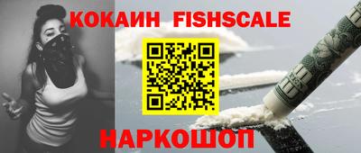 крисы Славгород