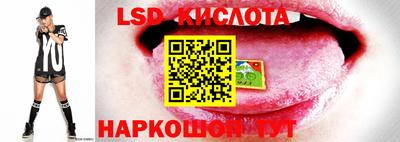 крисы Славгород