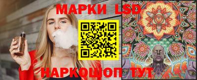 крисы Славгород