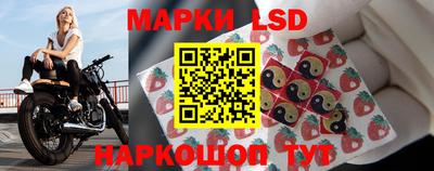 крисы Славгород