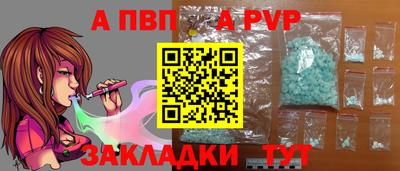 крисы Славгород