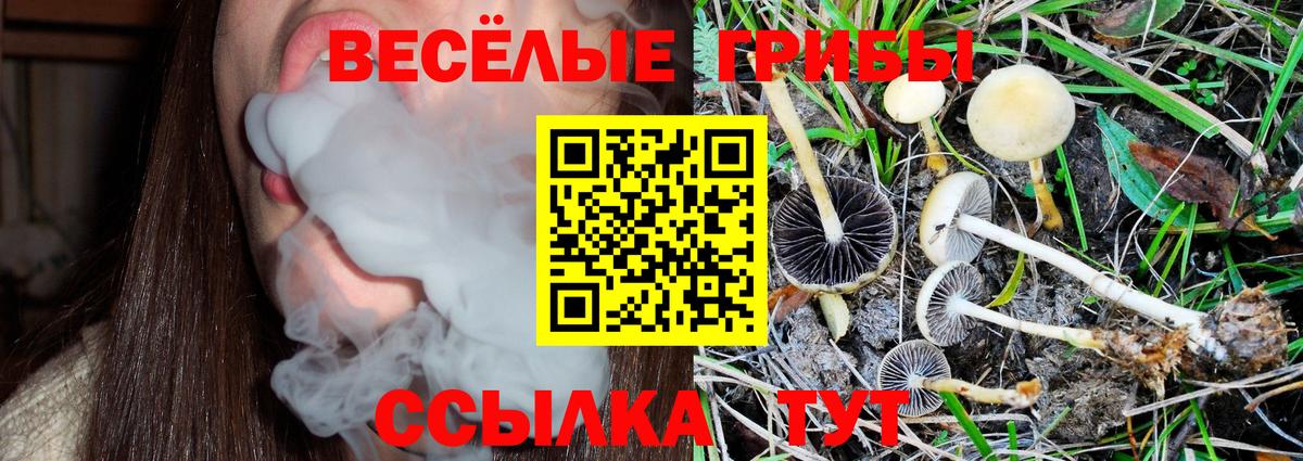 Набережные Челны  Галлюциногенные грибы мицелий  Вход с VPN  Галлюциногенные грибы Psilocybe 